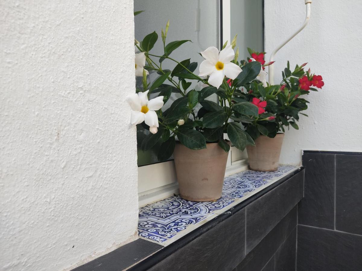 Apartamento 700 Metros De La Playa Playa Flamenca Εξωτερικό φωτογραφία